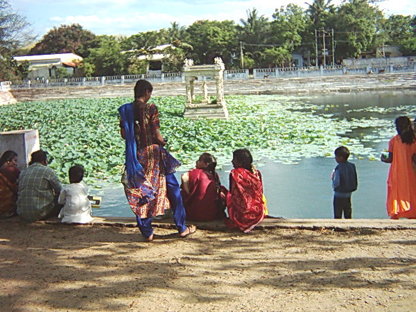 Le bassin de Vishnu