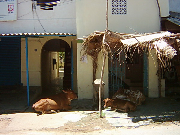 Mahabalipuram